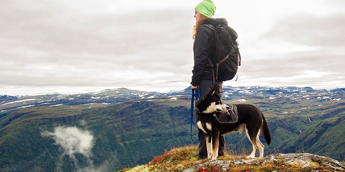 Image of a young woman with a backpack and other hiking gear on standing atop a mountain beside a black and white medium-sized dog.