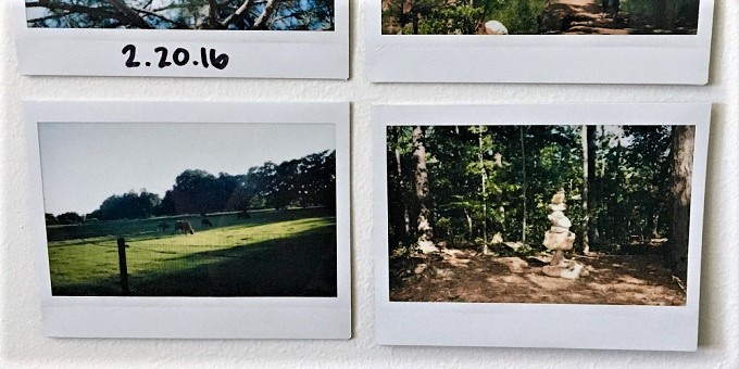 Image of four Polaroid film pictures of various outdoor scenes.