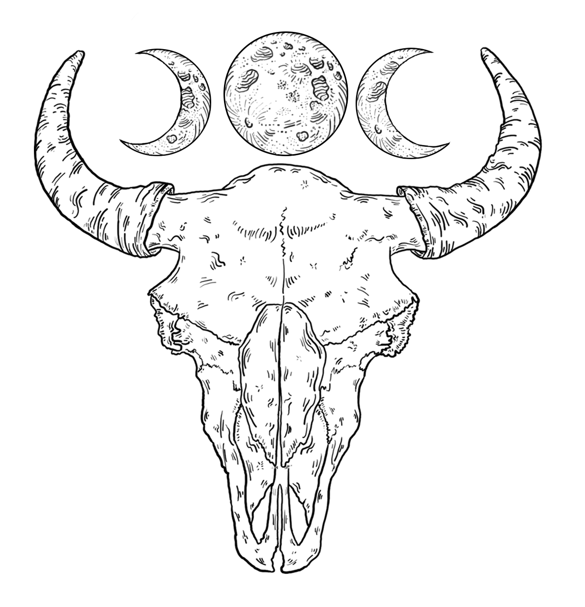 An illustration of a bison skull with three moons above it; the center moon is full and the moons on each sides are crescents.